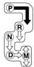 MAZDA 6 Hatchback (2005) - AutomaticTransaxleControls - 2