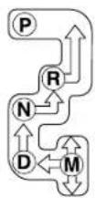 MAZDA 6 Hatchback (2005) - AutomaticTransaxleControls - 3