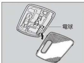 電球