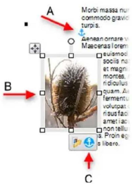 SERIF PagePlus X5 - Anchoring objects to text - 1