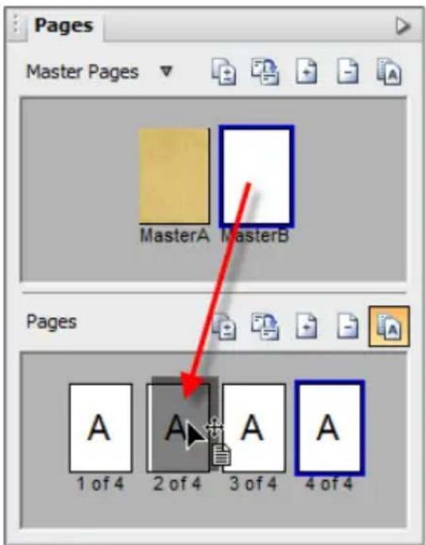 SERIF PagePlus X5 - To assign a master page: - 1