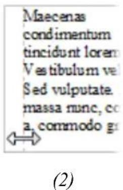 SERIF PagePlus X5 - To edit frame properties directly: - 2