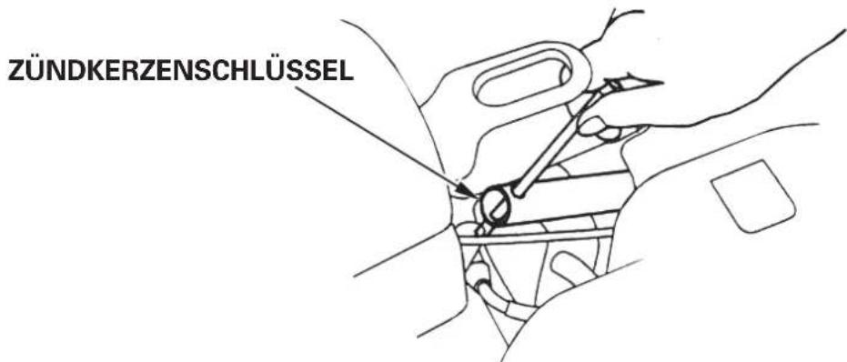 Honda F810 - ⚠️WARNUNG - 1