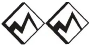 Diamant Sona - Belastungen und Stöße können Ihr Fahrrad schwächen - 1
