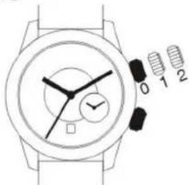 Daniel Steiger Columbus - YEAR WARRANTY - 1