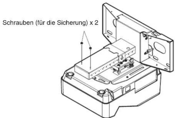 Schrauben (für die Sicherung) x 2