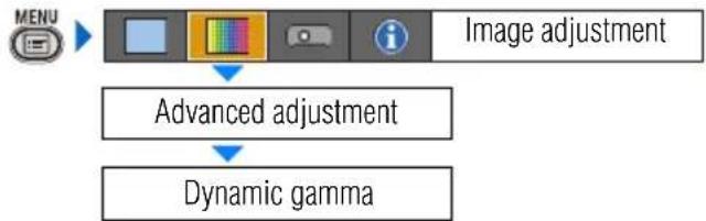 CANON XEED SX800 - Making Advanced Adjustment (Dynamic gamma) - 2