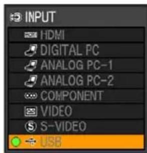 INPUT HDMI DIGITAL PC ANALOG PC-1 ANALOG PC-2 COMPONENT VIDEO S-VIDEO USB