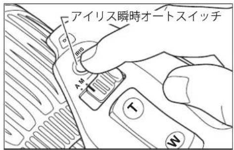 アイリス瞬時オートスイッチ RGS A M T W