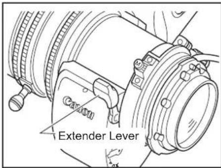 Exter lever Cavity