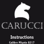 Carucci Miyota 8217 - Garantie - 4
