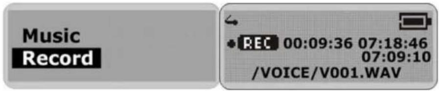 Music Record REC 00:09:36 07:18:46 07:09:10 /VOICE/V001.WAV