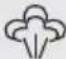 SILVERCREST IAN 277706 - NOTA - 5