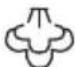 SILVERCREST IAN 277706 - Figure C: - 1
