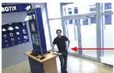 Mobotix Q25 - Simultaneous Corrected Live Image and Full Image Recording - 2