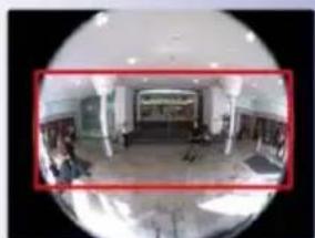 Mobotix Q25 - High-Resolution 180° Panorama (Wall-Mounted) - 1