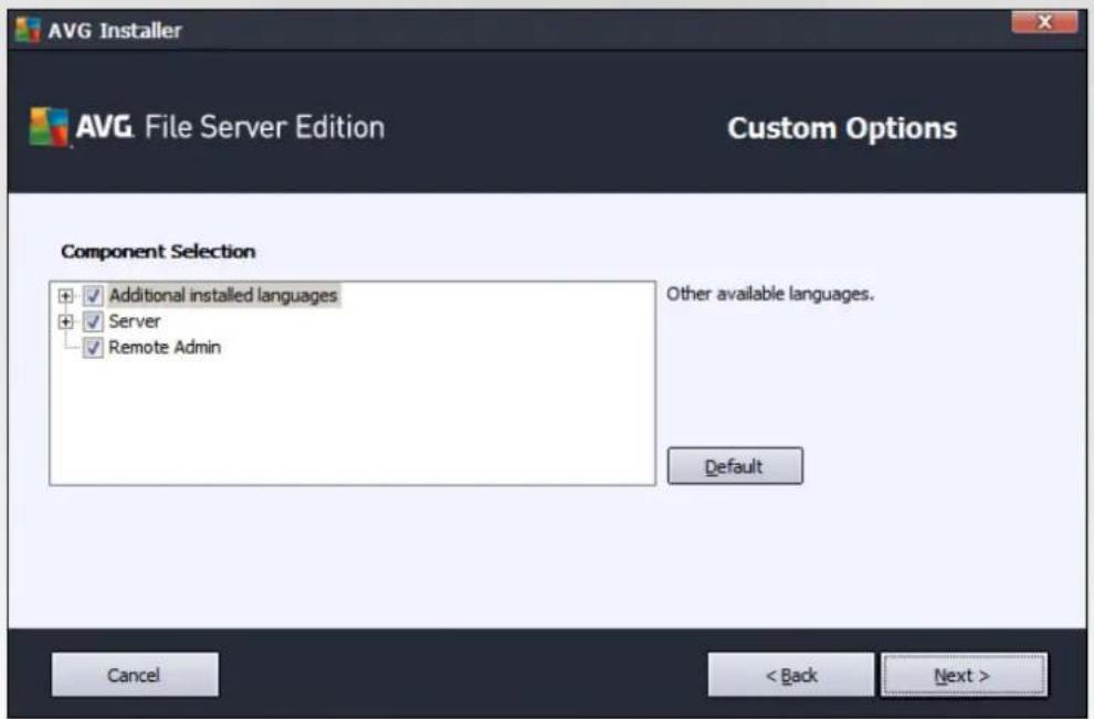 AVG File Server 2014 - Custom Install - Custom Options - 1