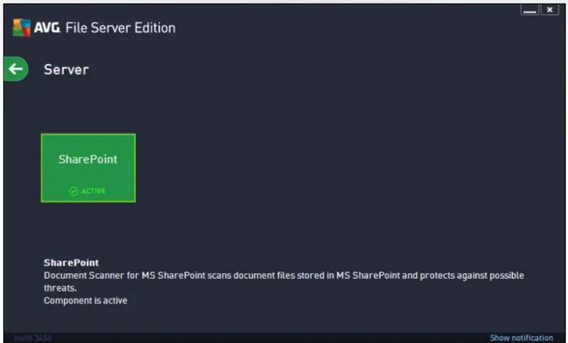 AVG File Server 2014 - After installation - 2