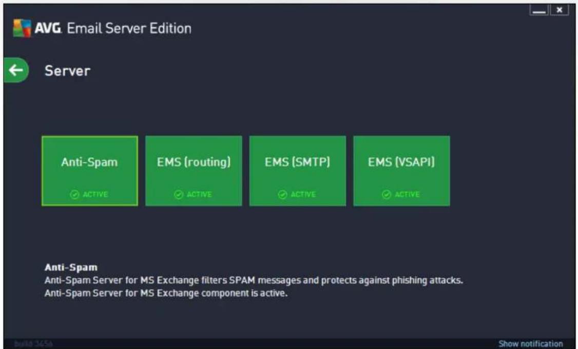 AVG Email Server Edition 2014 - After Installation - 2