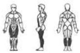 Horizon Fitness V 2000 - A / KRAFT - 1