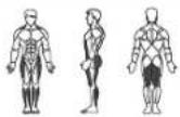 Horizon Fitness V 2000 - A / KRAFT - 7