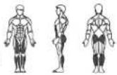 Horizon Fitness V 2000 - A / KRAFT - 9