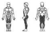 Horizon Fitness V 2000 - A / KRAFT - 5
