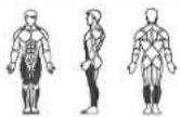Horizon Fitness V 2000 - A / KRAFT - 3