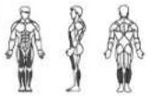 Horizon Fitness V 2000 - A / KRAFT - 11