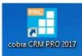 COBRA CRM PRO 2017 - Der Beginn - 2