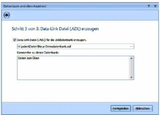 COBRA CRM PRO 2017 - Legen Sie sich eine Datenbank an - 4