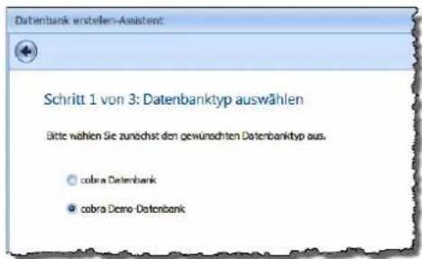 COBRA CRM PRO 2017 - Legen Sie sich eine Datenbank an - 2