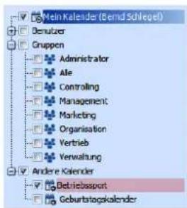 COBRA Adress PLUS 2017 - Kalender auswählen - 1