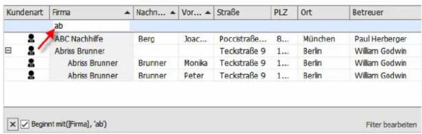 COBRA Adress PLUS 2017 - Suchen - 1
