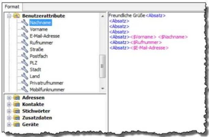 COBRA Adress PLUS 2017 - Benutzerattribute - 2