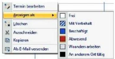 COBRA Adress PLUS 2017 - Mit dem Terminmanager in cobra arbeiten - 3