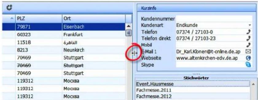 COBRA Adress PLUS 2017 - Größe der Ansichtsrahmen ändern - 1