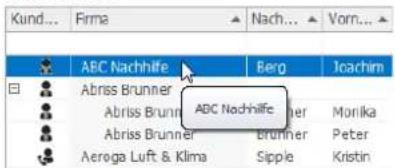 COBRA Adress PLUS 2017 - Tooltips in Tabellen - 1