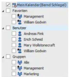 COBRA Adress PLUS 2017 - Mit dem Terminmanager arbeiten - 2