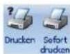 COBRA Adress PLUS 2017 - Termine drucken - 1