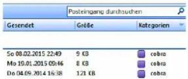 COBRA Adress PLUS 2017 - Erweiterte Einstellungen - 1