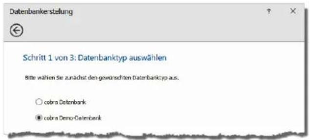 COBRA Adress PLUS 2017 - Legen Sie sich eine Datenbank an - 2