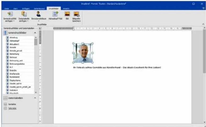COBRA Adress PLUS 2017 - Feldinhalte aus der Datenbank einfügen - 15