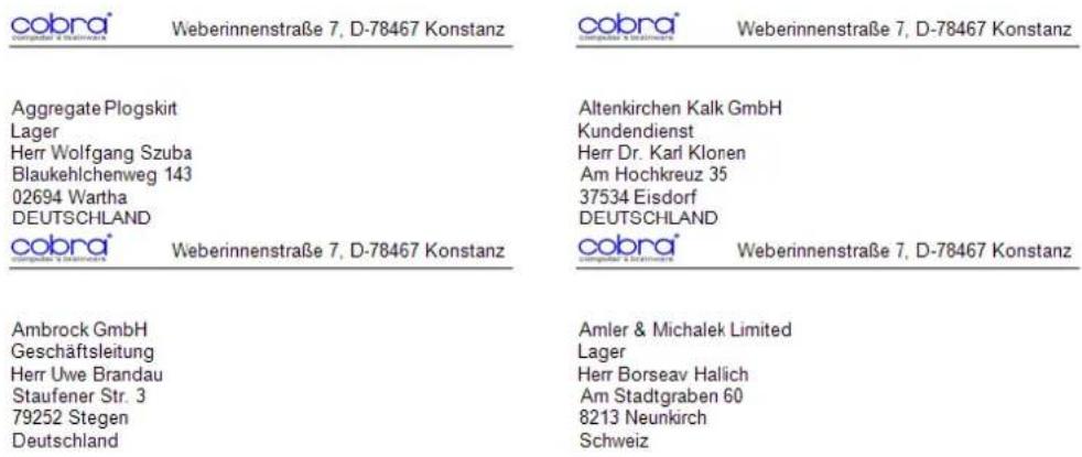 COBRA Adress PLUS 2013 - Detailbereich - 5