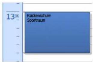 COBRA Adress PLUS 2013 - Kalender verkleinern und vergrößern - 2