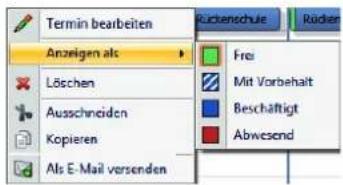 COBRA Adress PLUS 2013 - Mit dem Terminmanager in cobra arbeiten - 3