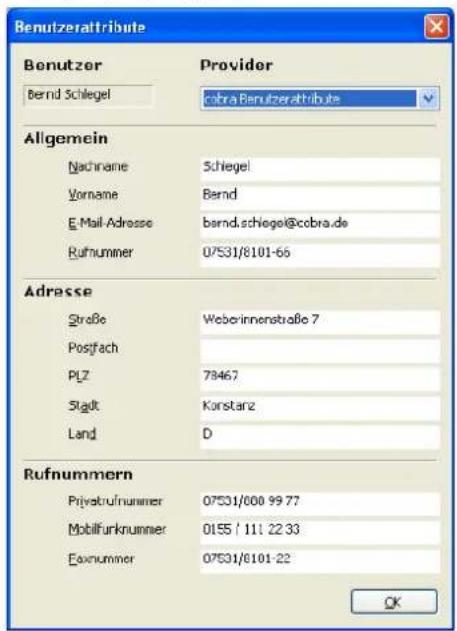 COBRA Adress PLUS 2013 - Benutzerattribute - 1