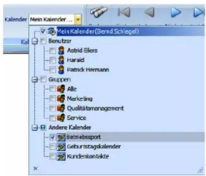 COBRA Adress PLUS 2013 - Kalenderauswahl des Druckmanagers - 1