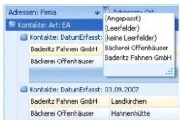 COBRA Adress PLUS 2013 - Daten filtern - 2