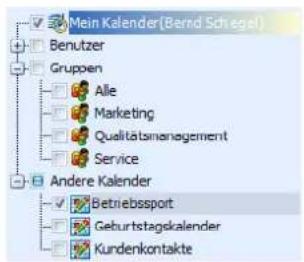COBRA Adress PLUS 2013 - Kalender auswählen - 1